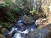 Toorongo Falls down stream