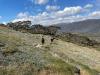 Walking from Mt Twynum to Illawong